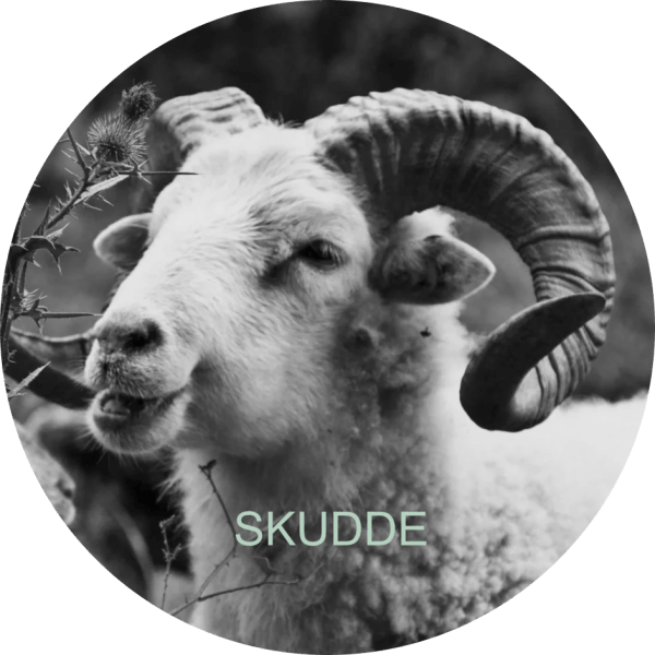 /appartements/skudde/