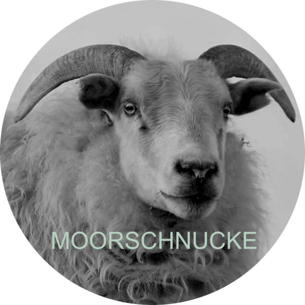 /appartements/moorschnucke/