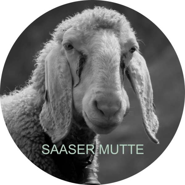 /appartements/saaser-mutte/